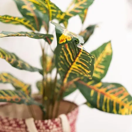 Sole Blu One Appartamento Mykonos Town