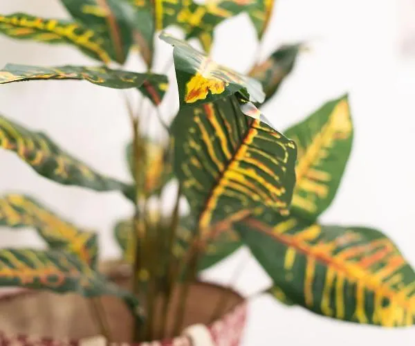 Sole Blu One Lejlighed Mykonos Town