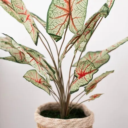 Sole Blu One Apartamento *